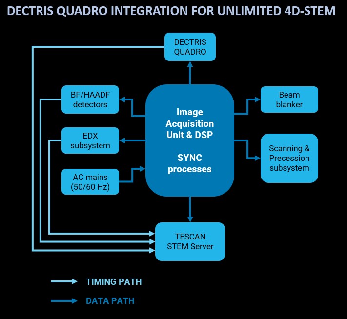 Stem Done Right Tescan Tensor - Elegant Light Wallpaper - Mobile